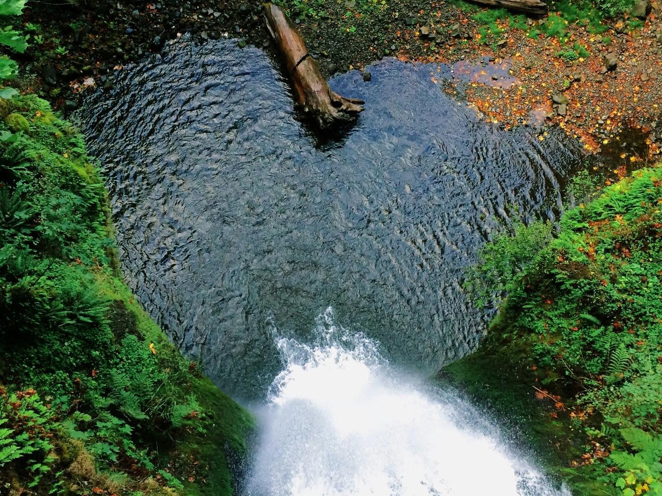 BLOG REGULACIÓN AMBIENTAL DEL AGUA EN MÉXICO